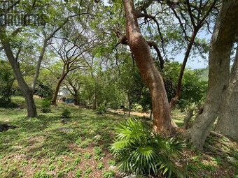 LOT 5 Bodden Bight Estate, Roatan - 1