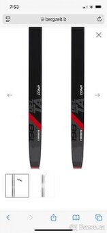 Rossignol delta comp R-skin 191 cm