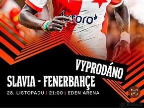 SLAVIA - FENERBAHÇE - 28.11.2024