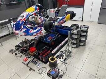 motokára ROK GP MS BLUE PHOENIX + motor