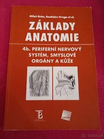 Základy anatomie