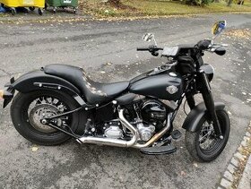 harley davidson softail slim 103.black line.rv 2017.