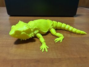 3D model agama vousatá