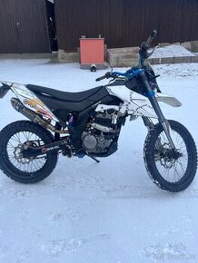 UM DSR 125 EX 2022