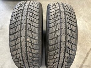 Zimní pneu 215/65 R17 103H XL NOKIAN