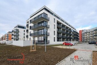 Pronájem, byty/3+kk, 90 m2, Železná 3061/10, Jižní Předměstí