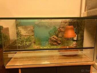 Terarium