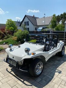 VW Apal Buggy - 1