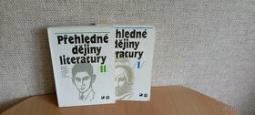 Přehledné dějiny literatury