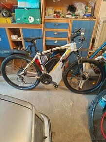 EasyBike MTB 650