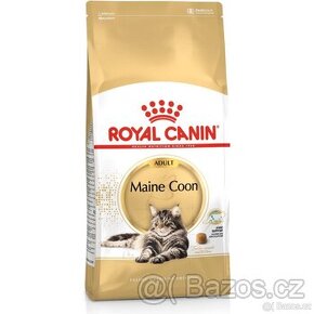 ROYAL  MAINE  COON ADULT.  -  6.20KG