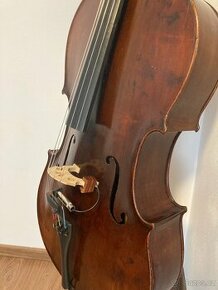 Violoncello