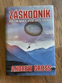 Záškodník - Andrew Gross