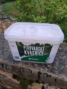 Mikrop pivovarské kvasnice - 1