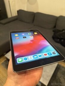 iPad mini 2