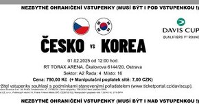 Davis Cup (Česko vs Korea)