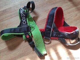 Postroj DG Doggear