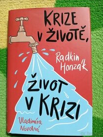 Krize v životě, život v krizi - Radkin Honzák - 1