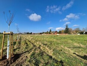 Prodej pozemku k bydlení, 998 m², Hřebeč