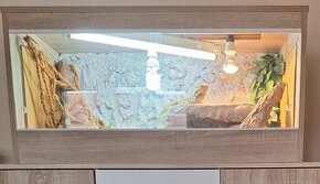 Terarium s 3D stěnou 100x50x50