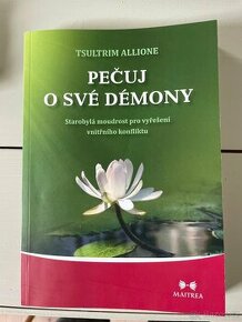 Pečuj o své démony – Tsulrim Allione - 1