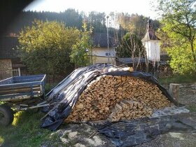 Rovnané měkké palivové dřevo cena za 1m3  i tvrdé dřevo