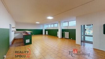 Prodej, komerční/obchodní prostory, 230 m2, K. Marxe 1860, 4