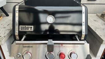 Gril Weber Genesis E-325S