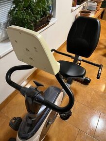 Recumbent inSPORTline Rapid RMB - 1