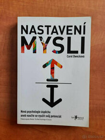 Nastavení mysli