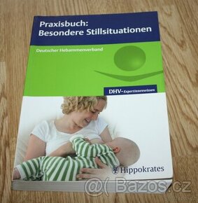 Besondere Stillsituationen hebammenverband - Praxisbuch