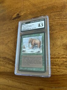 MtG War Mammoth Alpha 1993 CGC grade 8.5 vintage karta