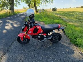 Honda 125 MSX GROM