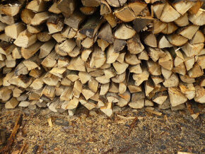 Palivové dřevo tvrdé