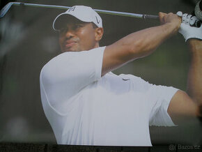 Plakát Tiger Woods