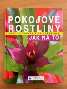 NOVÉ Pokojové rostliny krok za krokem - jak na to