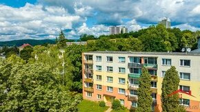 Pronájem bytu 1+1, 29m2, Ústí nad Labem, ul. Lisztova