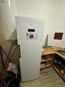 Mrazák BEKO F60312NE  312L