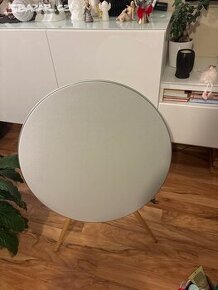 bang Olufsen