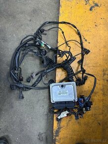 A4 b5 1.9tdi PD ecu + svazek