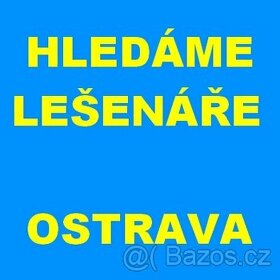 LEŠENÁŘ OSTRAVA 30.000-55.000,-Kč/měs. MOŽNOST UBYTOVÁNÍ