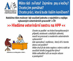 VETERINÁRNÍ NEMOCNICE PRAHA 10 přijme ASISTENTKU