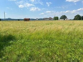 Prodáme pozemek ke komerčnímu využití obec Lukavice - 1