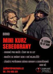 VÁNOCE SE SORUDEM - KURZ SEBEOBRANY pro muže i ženy