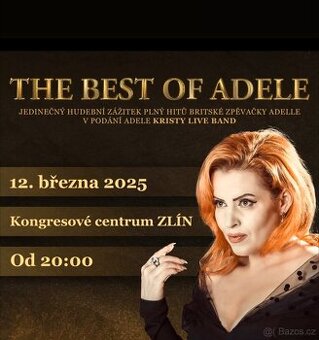 2ks vstupenky Adele ve Zline