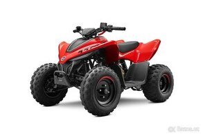 CFMOTO X110 LE