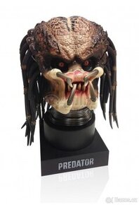 Hlava predatora - 1