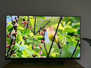 OLED televize 55" LG OLED55E8PLA