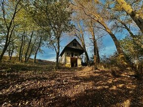 Prodej chaty včetně architektonické studie na přestavbu