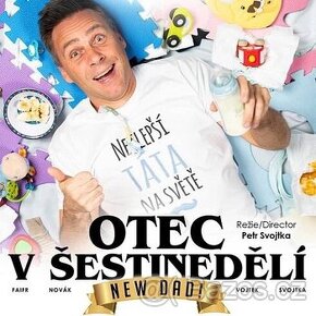 Otec v šestinedělí - divadlo Hybernia 2.3.